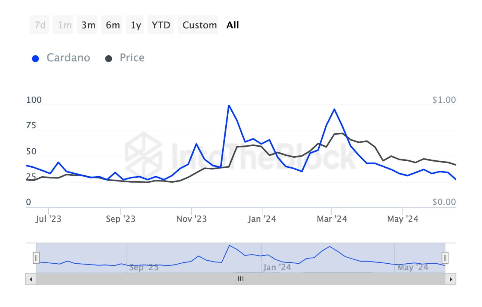cardano search trends