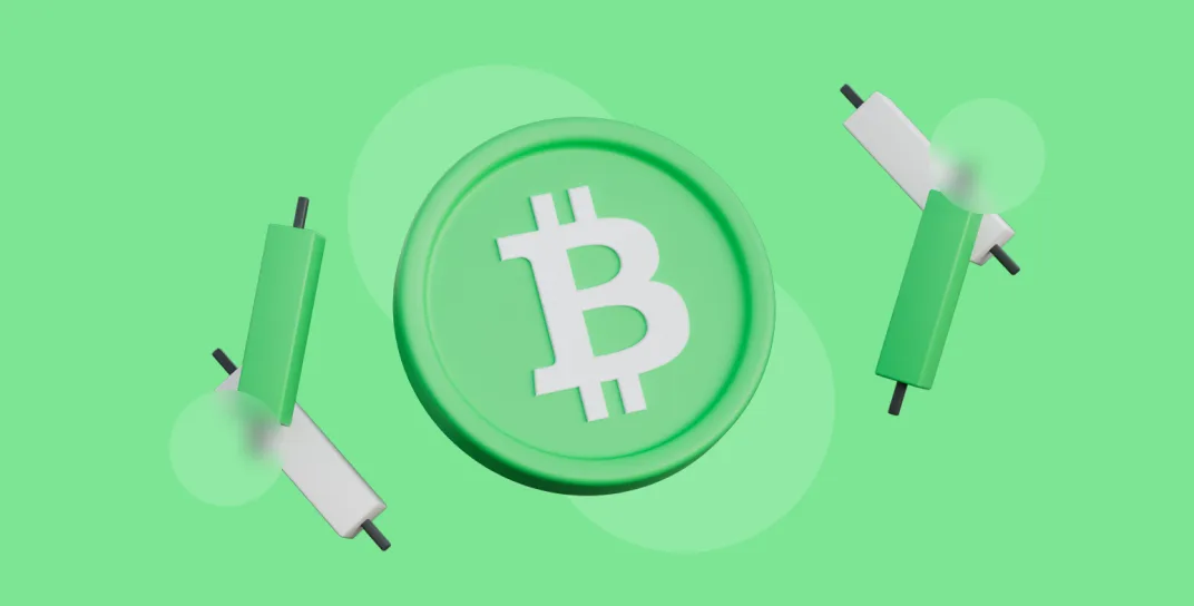 bch bitcoin cash icon